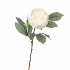 Піон, білий (8608-003)