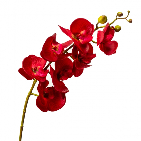 Орхідея фаленопсис, червона (8701-003)