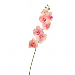 Орхидея фаленопсис, ярко-розовая (8701-020)