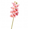 Орхідея ванда, ясно-рожева (8701-027)
