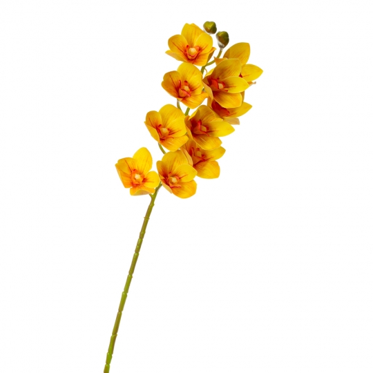 Орхідея ванда, жовта (8701-029)