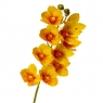 Орхідея ванда, жовта (8701-029)