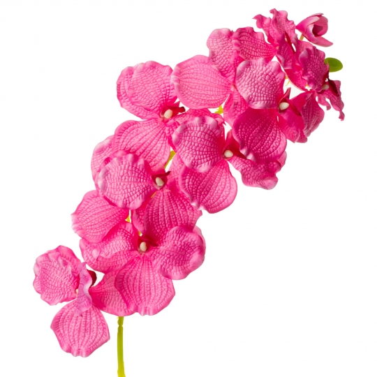 Орхідея онцидиум, рожева (8701-033)