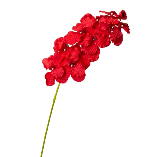 Орхідея онцидиум, червона (8701-034)