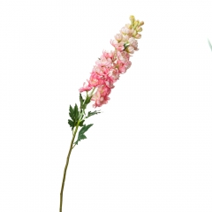 Люпин, розовый (8721-017)