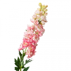 Люпин, розовый (8721-017)