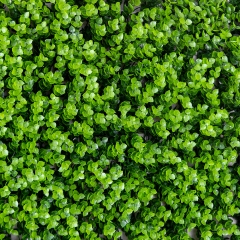 Декоративная панель из искусственной зелени "Травка", 40*60 см (9224-002)