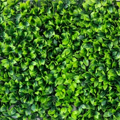 Декоративная панель из искусственной зелени "Самшит", 40*60 см (9224-006)