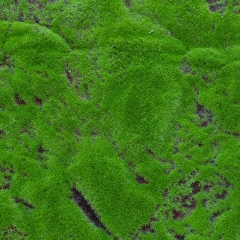 Декоративная панель из искусственного мха, 100*100 см (9224-010)
