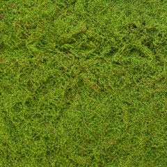 Декоративная панель из искусственного мха, 100*100 см (9224-011)