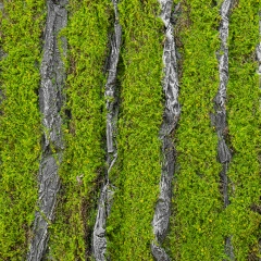 Декоративная панель из искусственного мха и коры, 100*100 см (9224-012)