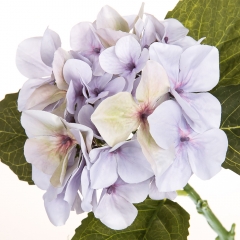 Гортензия (53 см) (039FS-BU)