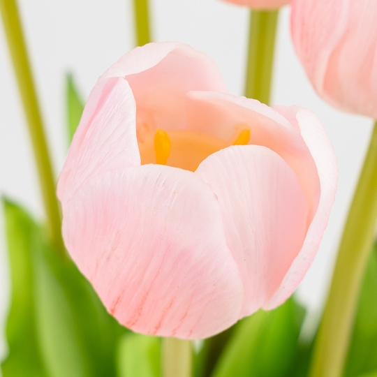 Букет латексних тюльпанів, 7 бутонів, ніжно-рожевий, 48 см (2026-003/pink) Букет латексних тюльпанів, 7 бутонів, ніжно-рожевий, 48 см (2026-003/pink)