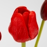 Букет латексних тюльпанів, 7 бутонів, червоний, 48 см (2026-003/red)