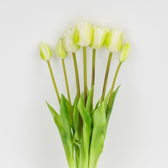 Букет латексних тюльпанів, 7 бутонів, біло-зелений, 48 см (2026-003/white)