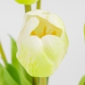 Букет латексних тюльпанів, 7 бутонів, біло-зелений, 48 см (2026-003/white)