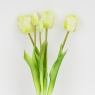 Букет латексних тюльпанів, 5 бутонів, біло-зелений, 44 см (2026-004/white)