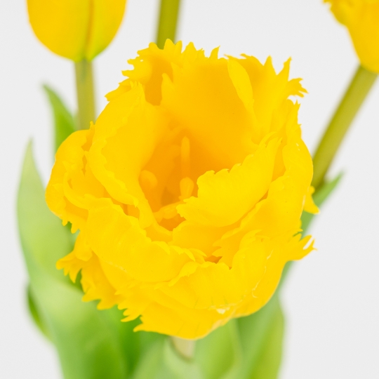 Букет латексних тюльпанів, 5 бутонів, жовтий, 44 см (2026-004/yellow) Букет латексних тюльпанів, 5 бутонів, жовтий, 44 см (2026-004/yellow)