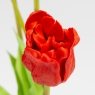 Букет латексних тюльпанів, 5 бутонів, червоний, 49 см (2026-005/red)