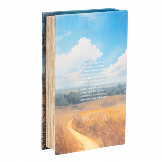 Книга-сейф 