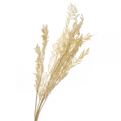 Самшит Беж, стабілізований (8213-025)