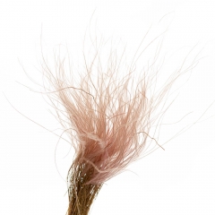 Ковыль Персиковый, стабилизированный (8213-029)