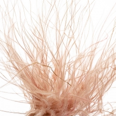 Ковыль Персиковый, стабилизированный (8213-029)