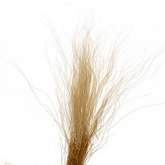 Ковыль Серый, стабилизированный (8213-030)