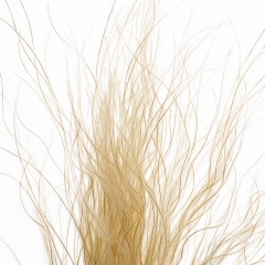 Ковыль Серый, стабилизированный (8213-030)