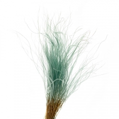 Ковыль Зеленый, стабилизированный (8213-031)