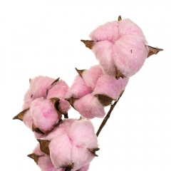 Хлопок, стабилизированный (8213-032)