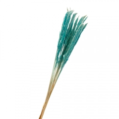 Пампасная трава Голубая, стабилизированная (8213-043)