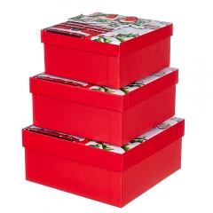 Набір з 3 коробок "Зимові пташки" 20*20*9,5 (8211-054)