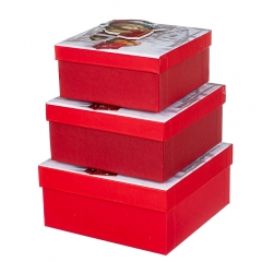 Набір з 3 коробок "Новорічне ведмежа" 20*20*9,5 (8211-057)