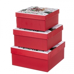 Набор из 3 коробок "Веселые друзья"   20*20*9,5 (8211-066)