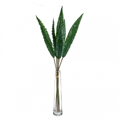 Листья эвкалипта (8414-025)