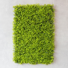 Искусственный фитомодуль "Самшит", 60*41 см СПАСЕННАЯ ПОЗИЦИЯ (9281-001)