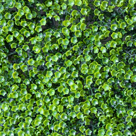 Штучний фітомодуль Штучний фітомодуль