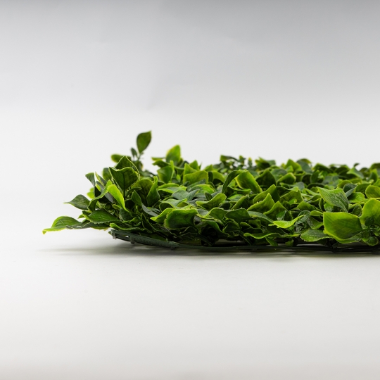 Штучний фітомодуль Штучний фітомодуль