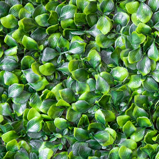 Штучний фітомодуль Штучний фітомодуль