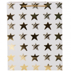 Подарочный пакет "Золотой праздник", 18*23 см (18924-001)