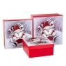 Набір з 3 коробок "Санта і Рудольф" 20*20*9,5 (8211-003)