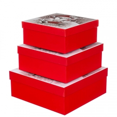 Набір з 3 коробок "Санта і Рудольф" 28*28*11 (8211-004)