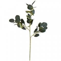 Гілка Евкаліпту, 66 см (8949-001)