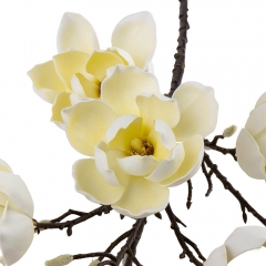 Магнолия белая, 125 см (8949-007)