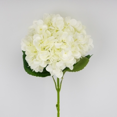 (2026-009/white)