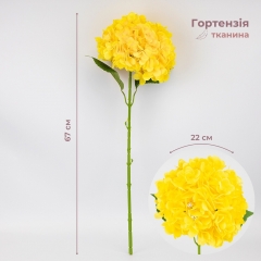 (2026-009/yellow)