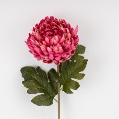 (2026-011/mauve)