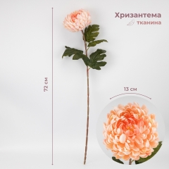 (2026-011/pink)