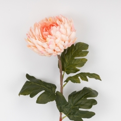 (2026-011/pink)